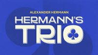 Hermann's Trio by Alexander Hermann