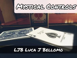 NEW CONTROLS PROJECT - Mystical Controls By LJB (Instant Download)
