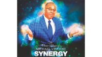 Synergy by Michael Vincent